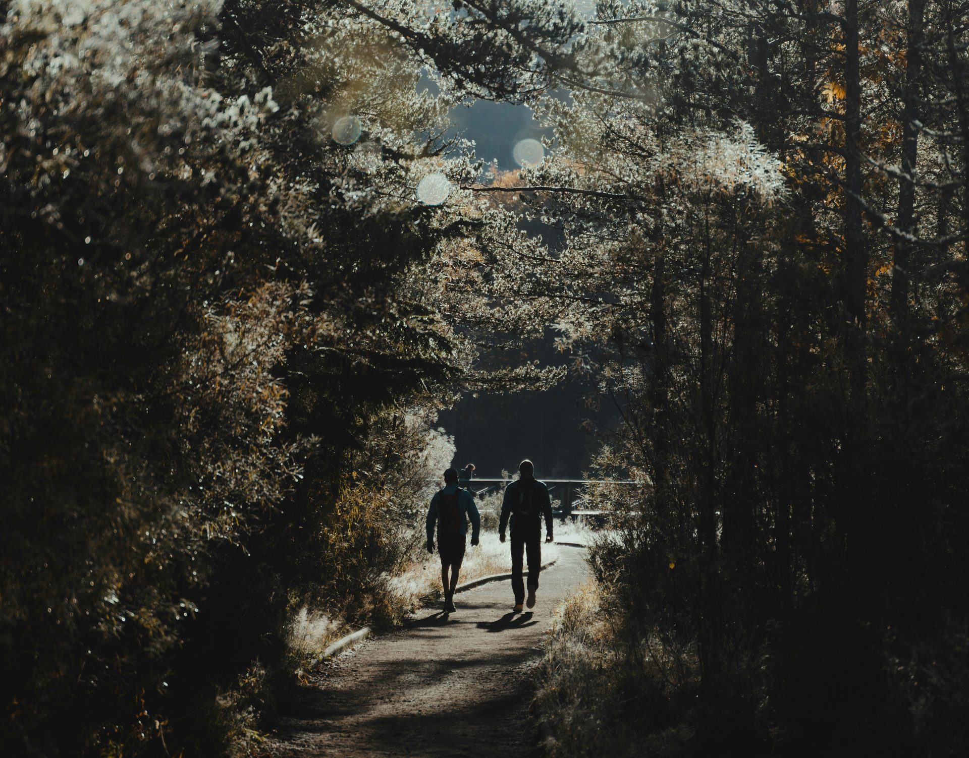 The Walking Day